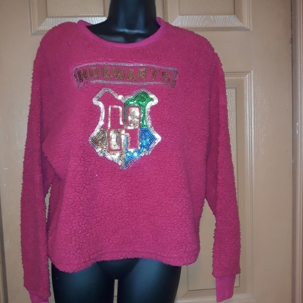 Harry Potter fleece pullover the actual color is the picture with the size tag